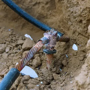 CCS Cable for Grounding thumbnail-2