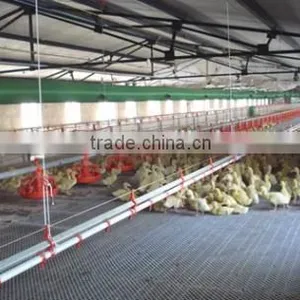 Steel Structure Workshop, Steel Structure Poultry House and Poultry Farming Workshop thumbnail-2