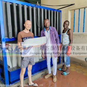 Industrial Ice Machine 30Ton Ice Machine for Fish thumbnail-1