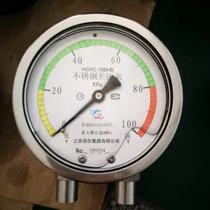 Differential Pressure Gauge thumbnail-4