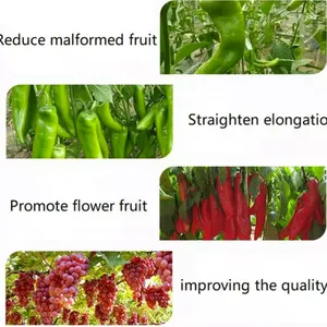 Agrochemical Root Growth Regulator Indole 3 Butyric Acid Potassium Salt 98%TC Ibak thumbnail-3