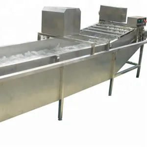 Automatic High Pressure Washer/commercial Fruit Vegetable Washer/leafy Vegetable Washing Machine Prices thumbnail-1