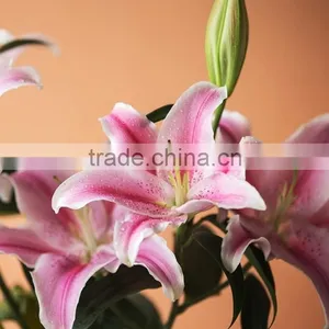 Fresh Sorbonne Wedding Decoration Lily Flower Bouquet thumbnail-5