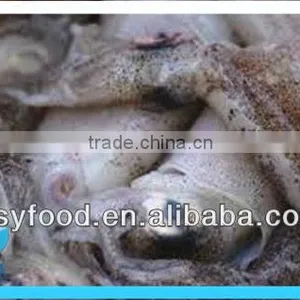 Frozen Squid After Cleaning thumbnail-1