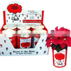Flower Can,can Flower,flower Tin thumbnail-3