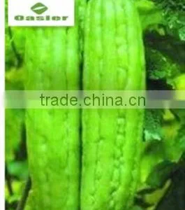 Bitter Melon Seed Extract thumbnail-1