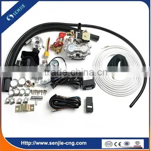 Carburator to Efi Kit/kit de Conversion Gnv Omvl/Tomasetto ATo4 Efi Kit thumbnail-6