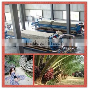 Professional Palm Oil Fractionation Plant for Making Grade 1 Oil thumbnail-1