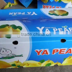 Ya Pear From BROTHER KINGDOM thumbnail-1