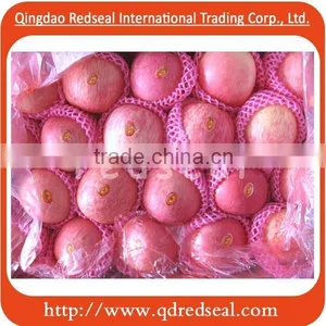 Yantai Fuji Red Apple thumbnail-1