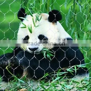 Professional Lowest Price ' Galvanized Hexagonal Wire Netting thumbnail-1