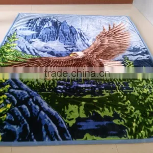 Hot Selling New Design 100 % Polyester Korean Style 2Ply Mink Blanket thumbnail-1