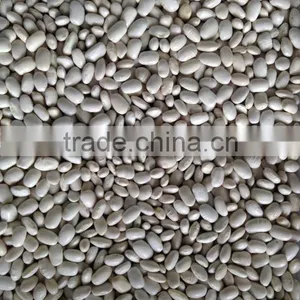 FDA ,KOSHER Canned White Kidney Beans thumbnail-2