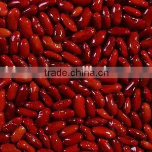 We Are Supply Kidney Beans, Dark Red Kidney Beans for Sale thumbnail-3