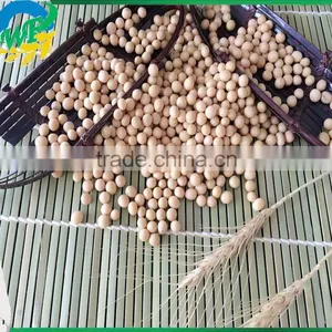 Yellow Soybean thumbnail-2
