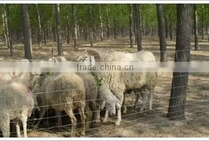 Grassland Fences thumbnail-1