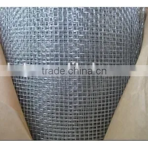 New Product Galvanized Welded Wire Mesh/ Welded Wire Mesh Fence for Sale thumbnail-5