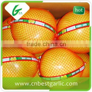 New Crop Honey Pomelo to Russia thumbnail-2
