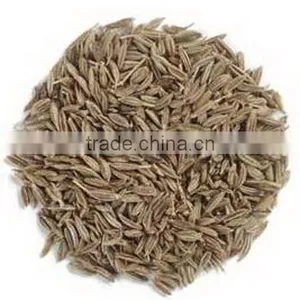 Cumin Seeds thumbnail-2