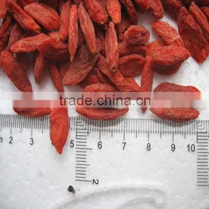 Goji Berries Organic/goji Organic Certificate thumbnail-2