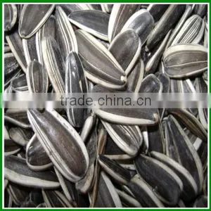 Sale Best Quality and Cheap Raw Sunflower Seeds 5009 in Bulk thumbnail-1
