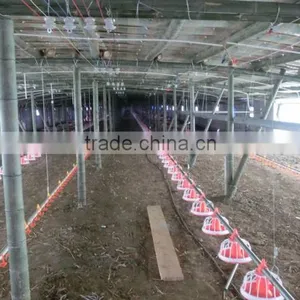 Hot Sale Chicken Farming Equipment/High Quality Automatic Pan Feeding System thumbnail-3