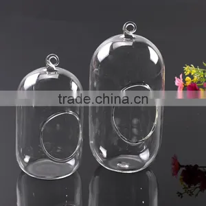 Hanging Micro Landscape Ecological Meaty Plant Glass Vase thumbnail-2