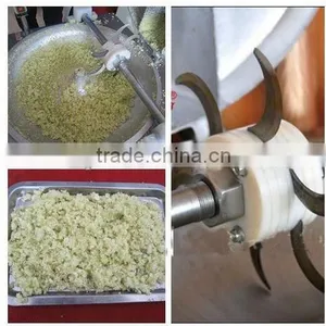 Cheap Price Stainless Steel Automatic Fruit and Vegetable Grinding Machine thumbnail-4