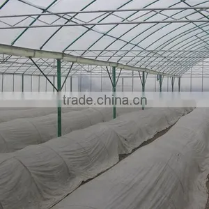 New Roofing Material for Greenhouse thumbnail-1