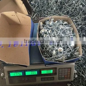 Hot Sales Roofing Nails for Nigeria Market thumbnail-3