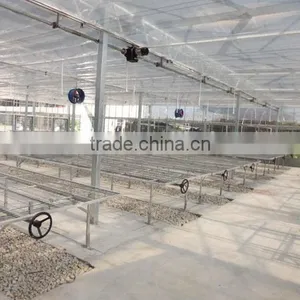Polycarbonate Sheet Cover Agricultural Greenhouse PC Sheet Covered Greenhouse thumbnail-6