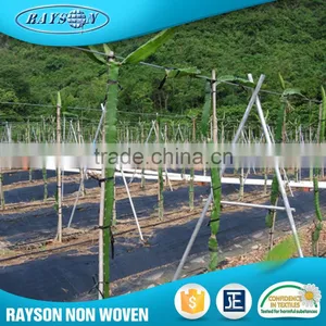 Technology 2016 Agriculture Nonwoven Polypropylene Fabric Roll thumbnail-3