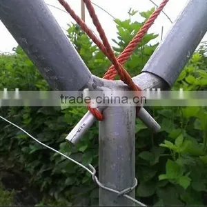 Greenhouse Twine for Greenhouse thumbnail-2