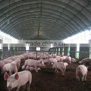 250mm PE Film Covered Single-Span Greenhouse For Cow/Pig Growing thumbnail-5