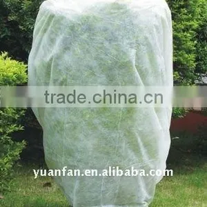 TNT Non Woven Fabric , Agriculture Useing pp Non Woven Fabric thumbnail-6