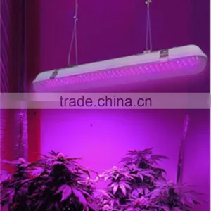 20W Waterproof LED Grow Light thumbnail-1