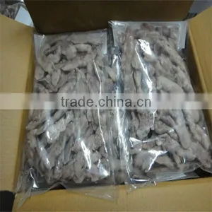 Frozen Squid for Sale thumbnail-1