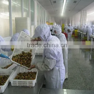 IQF Blue Mussel Meat thumbnail-4