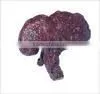 Reishi Extracts thumbnail-1