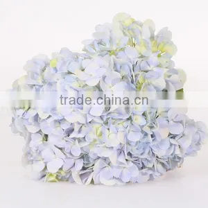Wholesale Organic Fresh Cut Decorative Colorful Flowers Perfect For Mother's Day Hydrangea Flower thumbnail-3
