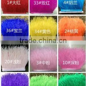 Wholesale Manufacturers Selling Mixed Color Decotation Ostrich Feather thumbnail-3