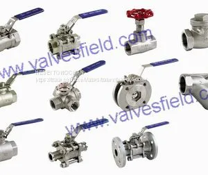 Stainless Steel Valves thumbnail-1