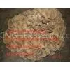 Maiitake Mushroom Extract 30% thumbnail-1