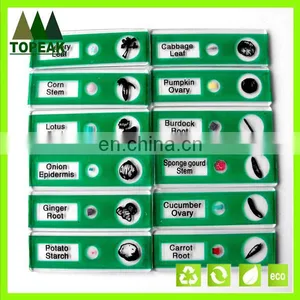 Vegetable Type Plant Serial Plastic Microscope Prepared Slides thumbnail-2