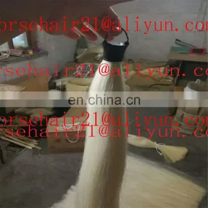 Natural Tapered Bottom ( Single Drawn ) Horse Tail Extensions for Sale thumbnail-5