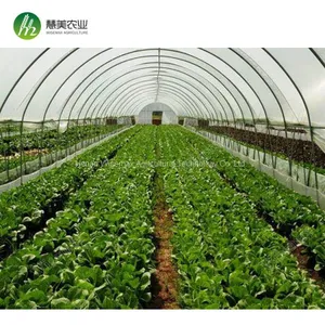 Top Quality China Manufacturer Single Span Polyethylene Film Greenhouses thumbnail-5