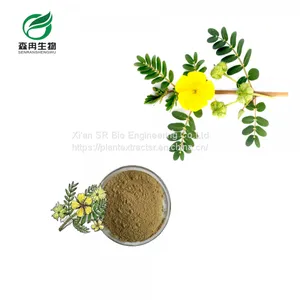 Manufacture Supplier 90% Saponins Tribulus Terrestris Extract Powder thumbnail-1