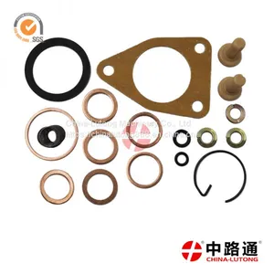 Cummins Generator Maintenance Kit 2 417 010 049 Cav Injection Pump Rebuild Kit thumbnail-1