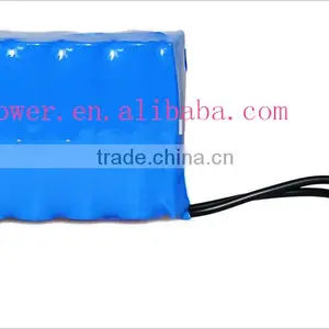Customized 18650 Lithium Ion Rechargeable Battery Pack 12v DC Li-ion Battery for Solar Power System/LED Panel Light thumbnail-1