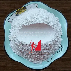 Calcium Carbonate - Heavy and Light Calcium Carbonate Powder Bulk Carbonate Manufacturer thumbnail-5